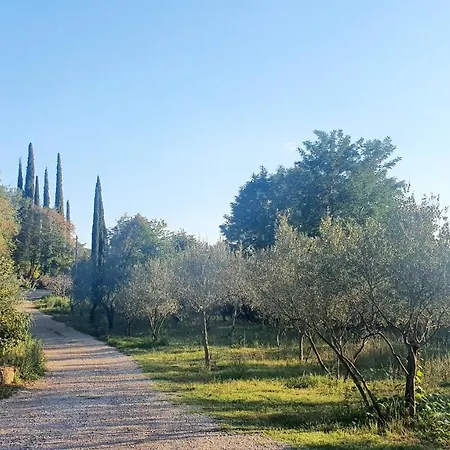 Little Brioni Holiday home Secovlje